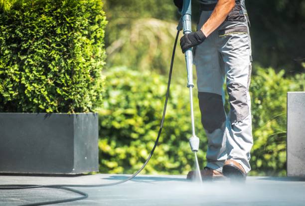 Best Animal Enclosure Cleaning  in Ol, LA