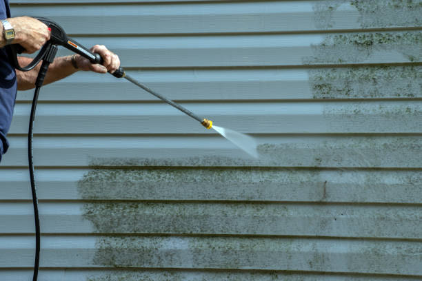 Best Roof Washing  in Ol, LA