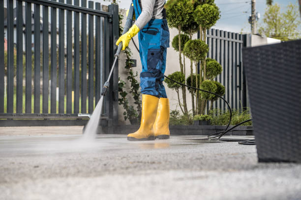 Boat and Dock Cleaning in Olla, LA